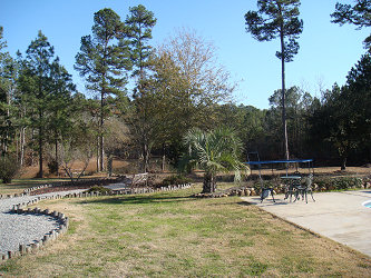 Backyard towards pond