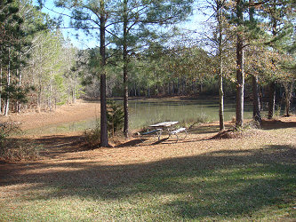 Closer view of pond