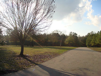 Front yard up the drive to trees