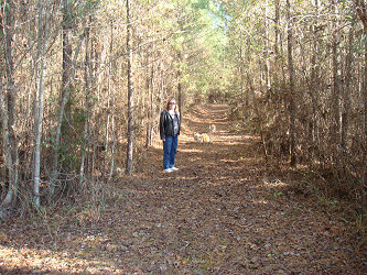 Trail through the woods