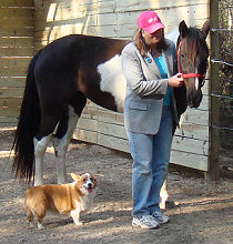 Susan with Lily and Sugar