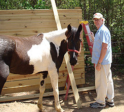 Ken and Sugar barn raising, LOL!!