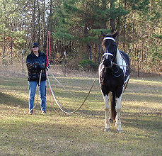 A pause in training to pose