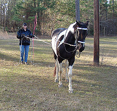 Getting ready to head to the barn