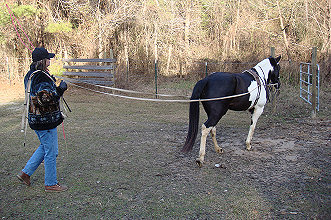 Heading into the middle pasture