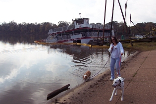 Sunken Twin City Queen