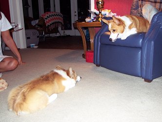 Toni and Lily seeing who is going to move first